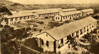 顺德糖厂在增产中 1952年