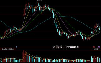 远 望 谷 最新内幕 关注者必须晓得的